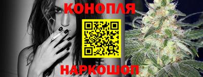 сатива Бузулук